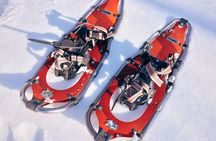 SNOWSHOEING The white walk