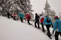 SNOWSHOEING The white walk
