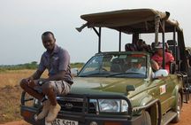 Queen Elizabeth Open Safari Jeeps for game drives.