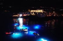 Sunset Cruise & Manta Night Snorkeling Charter