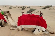Morning Desert Safari in Dubai Private vehicle
