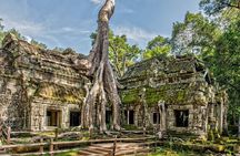 5 Must-See Temples With Private Guided Tour
