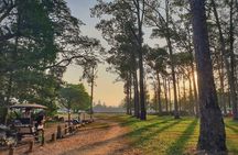 Private Temples Guided Tour (Angkor Wat, Ta Prom & Angkor Thom)