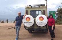 4 Days Tanzania Safari Experience 