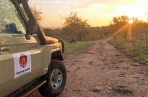 4 Days Tanzania Safari Experience 