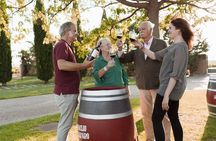 Discover La Rioja: Guided Winery Tour & Wine Tasting