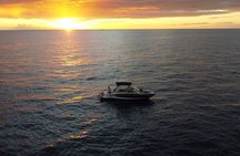 Sunset Cruise & Manta Night Snorkeling Charter