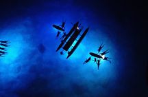 Sunset Cruise & Manta Night Snorkeling Charter