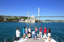 2-Hour Bosphorus Cruise in Istanbul with Guide