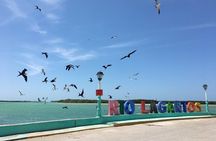 Las Coloradas & Rio Lagartos (pink lake excursion)