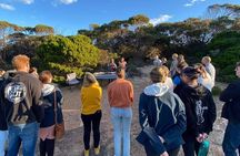 Walk on Country at Taananeditj (Rotary Lookout) 