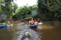 River Kayaking in Chiang Dao Jungle From Chiang Mai