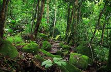 Nature trail - Morne Blanc (Mahe)