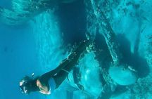 Nassau to Exuma Full-Day Trip Experience 