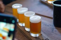 Sayulita Tacos and Tequila Food Tour 