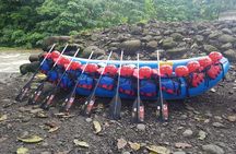 Arenal Combo Feelings: Adrenaline Rafting & Monkey Farm Experience