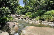 El Yunque Rainforest Hike and Luquillo Beach Tour