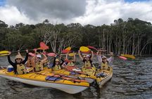 Full-Day Guided Noosa Everglades Kayak Tour