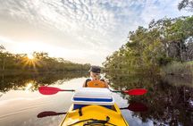 Full-Day Guided Noosa Everglades Kayak Tour