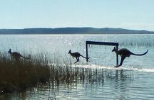 Full-Day Guided Noosa Everglades Kayak Tour