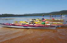 Self-Guided Noosa Everglades Kayak Tour
