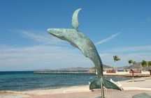 La Paz, Todos Santos, Balandra or Tecolote Beach Tour 