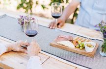 Tasting and tour through the vineyard