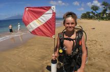 Intro/Refresher Dive Swim Ability Required