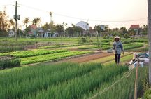 Hoi An Life Style Tour