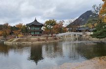 Free style private Tour(Essence of Seoul city or DMZ)