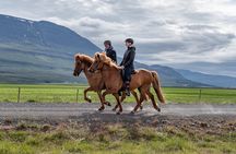 Private Riding Lesson in the North of Iceland
