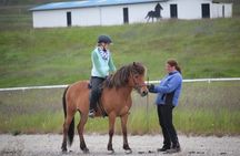 Private Riding Lesson in the North of Iceland