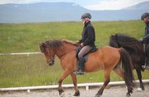 Private Riding Lesson in the North of Iceland