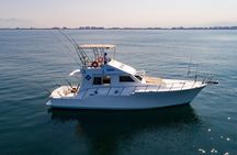 Custom 46' Boat in Puerto & Nuevo Vallarta