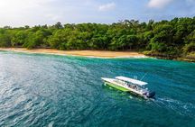 Ocho Rios Powerboat & Dunn’s River Falls Adventure