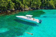 Ocho Rios Powerboat & Dunn’s River Falls Adventure
