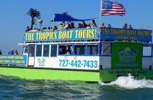 Guaranteed Dolphin Sighting Tour on Tropics Boat Tours