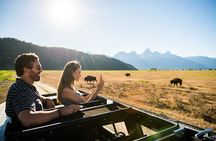 Sunset Grand Teton Wildlife Adventure