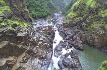 Beyond the Range - 30 minute Rainforest Scenic Flight