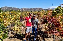 "Valle de Guadalupe", Live, Enjoy and Meet the Golden Valley