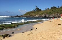 Oahu Grand Circle Island Tour Departing from Maui