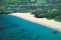 Pearl Harbor + Dole Plantation + Polynesian Center from Maui