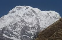 5 Days Mardi Himal Trek.