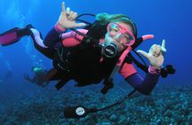 Intro/Refresher Dive Swim Ability Required