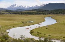 Full-Day Gable Island Eco-Adventure in the Beagle Channel
