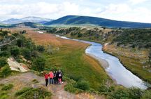 Full-Day Gable Island Eco-Adventure in the Beagle Channel