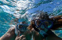 Private GroupTour Pigs/Turtles/Snorkeling/Lunch/Pickup/Dropoff