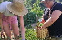Cretan Cooking Class at a Farmhouse 