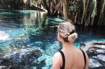Materuni Waterfalls & Chemka Hotsprings Day Trip