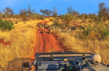 5 Days Private Safari Tour & Maasai village Visit Tanzania